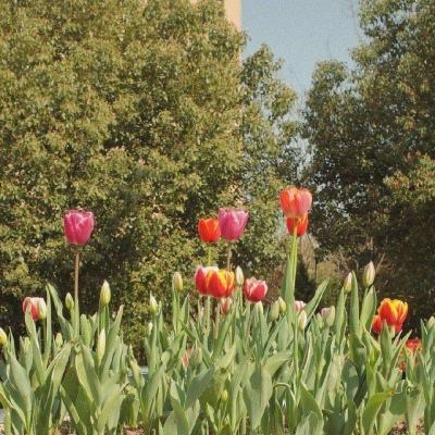 开云·体育(kaiyun)app下载