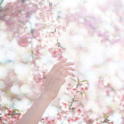 银河国际官网app下载下载手机版